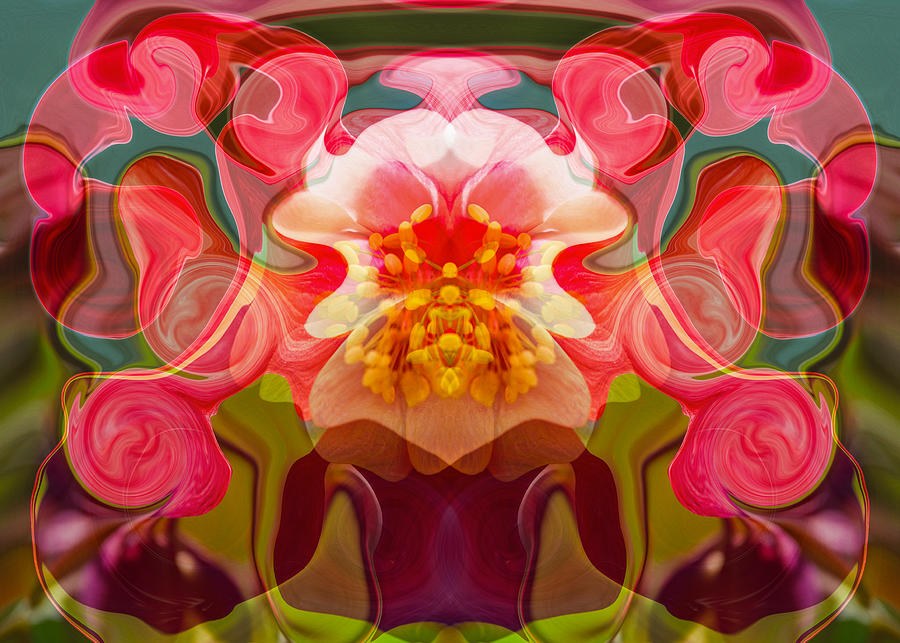 Bloom Masquerade - Mirrored Flower Abstract by Omaste Witkowski