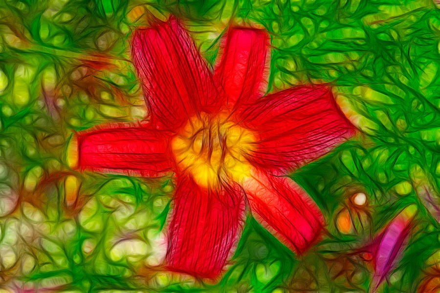 Orange Day Lily by Omaste Witkowski