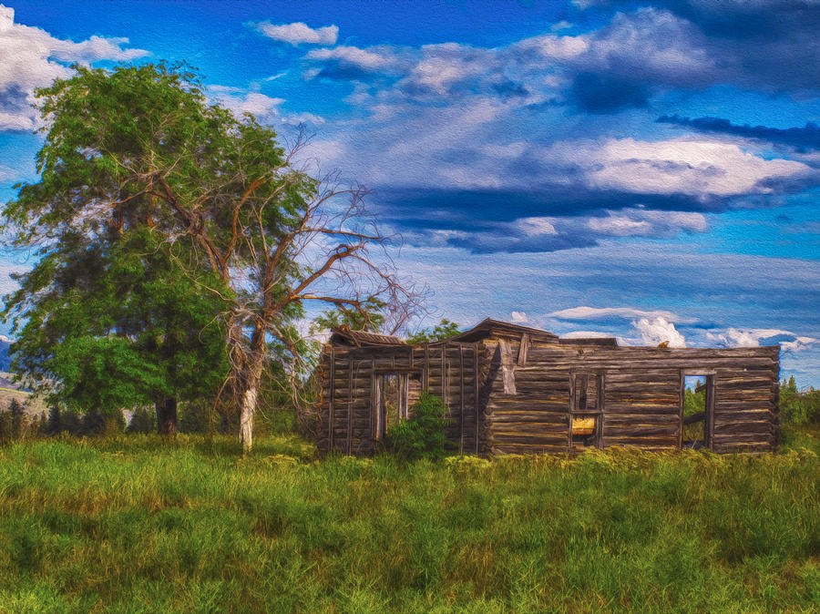Open to the Sky: Roofless Log Cabin in Green Meadow by Omaste Witkowski
