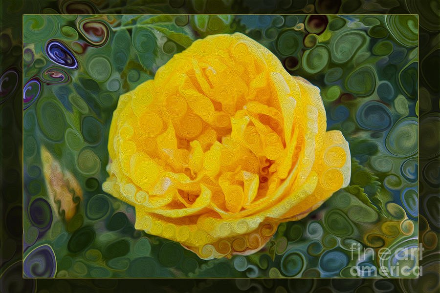 Golden Whorl, Yellow Rose in Swirling Paint Texture by Omaste Witkowski