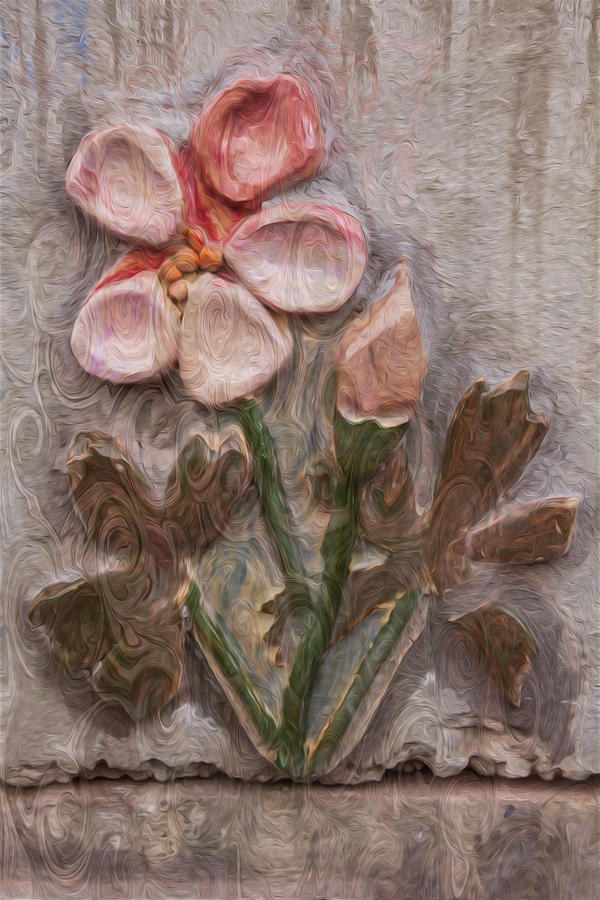 Aged Pink Beauty by Omaste Witkowski