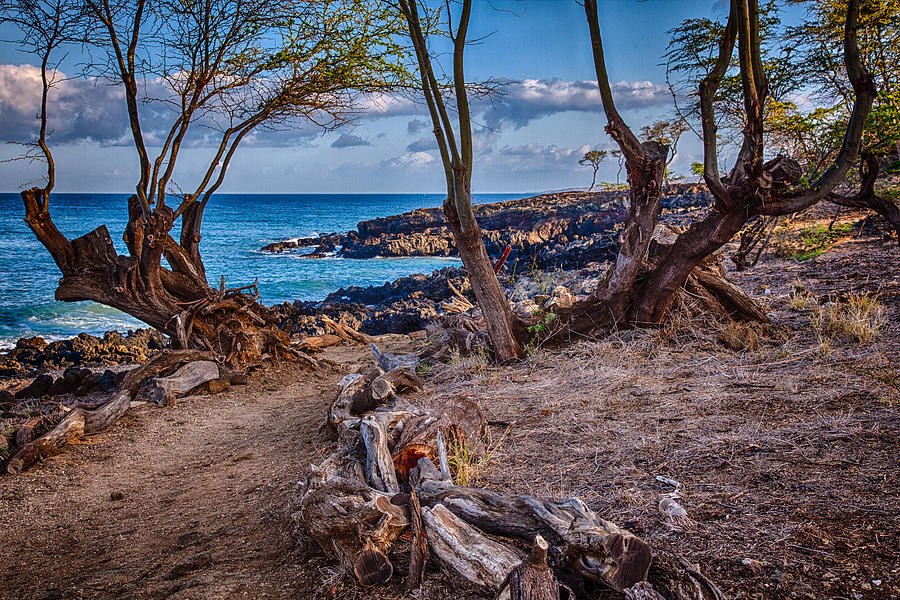 Ala Kahakai Path by Omaste Witkowski