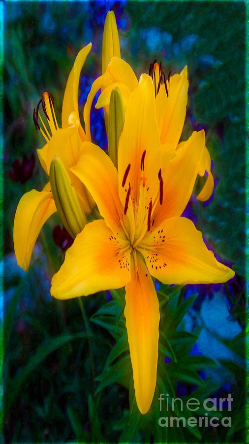 Alluring Yellow Lilies In An Abstract Garden by Omaste WItkowski by Omaste Witkowski