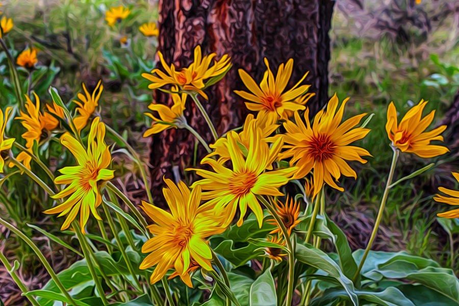 Ember Blooms, Yellow Wildflowers Against Dark Bark by Omaste Witkowski