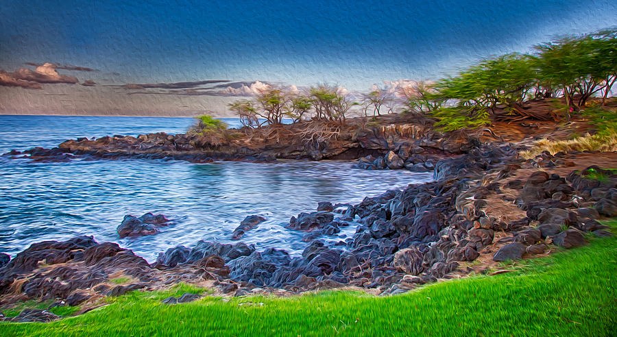 Bayside Beauty by Omaste Witkowski