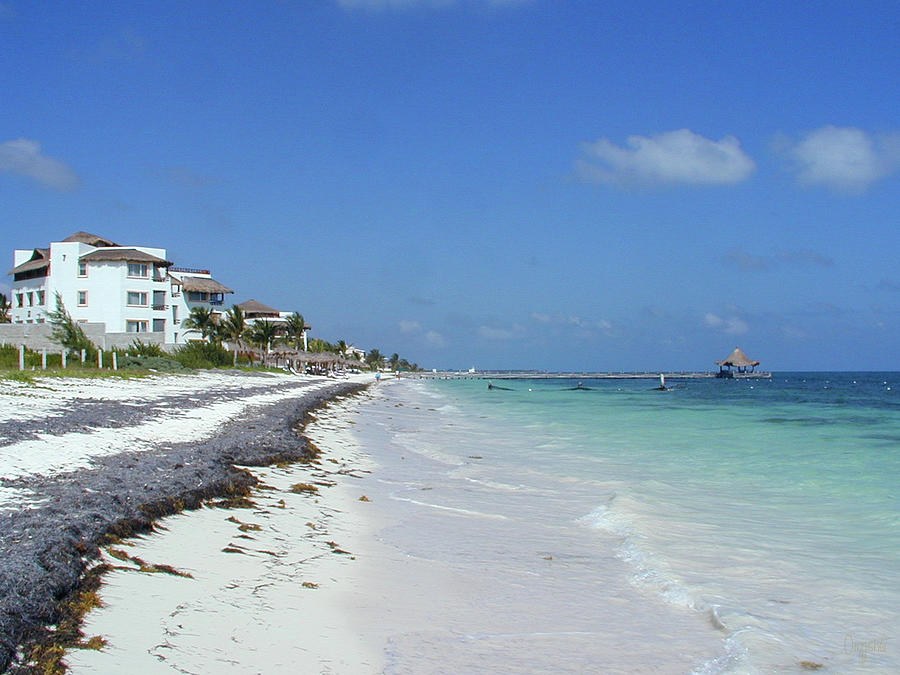 Beach Bliss in Mexico Love is in the Air Art by Omashte by Omaste Witkowski