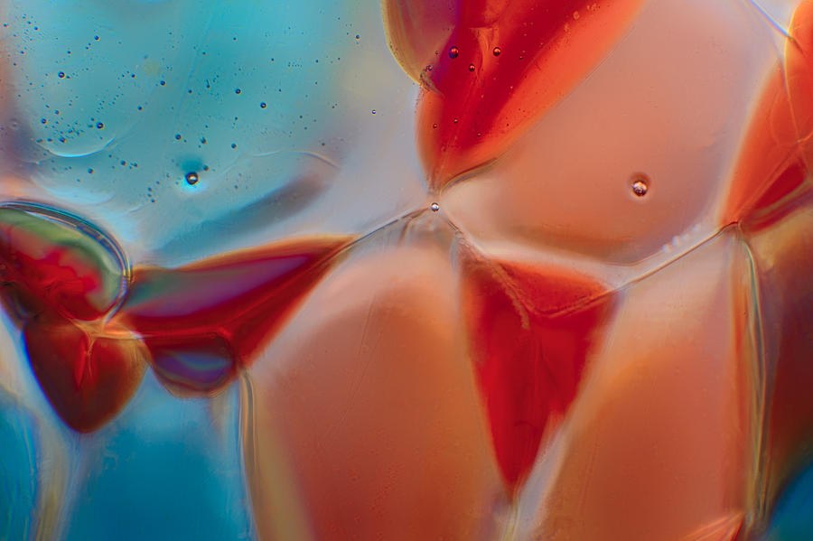Ember Pools, Coral Cells on Turquoise by Omaste Witkowski