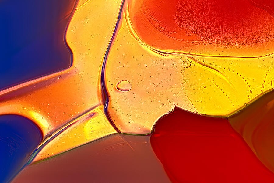 Birds of a Color - Vibrant Abstract Glass Macro Photography by Omaste Witkowski