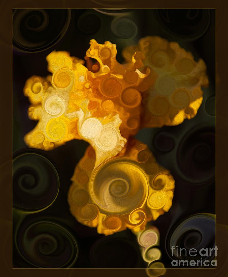 Bright Yellow Bearded Iris Flower Abstract by Omaste Witkowski
