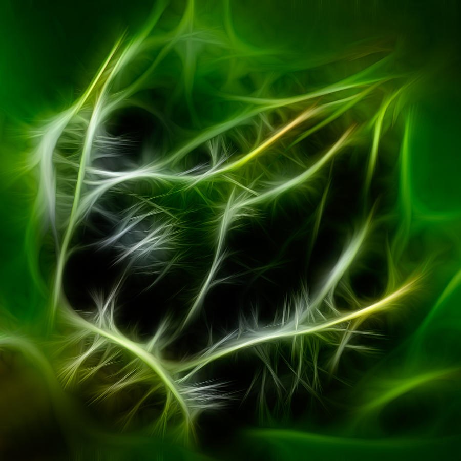 Green Current, Glowing Filaments Around a Dark Center by Omaste Witkowski