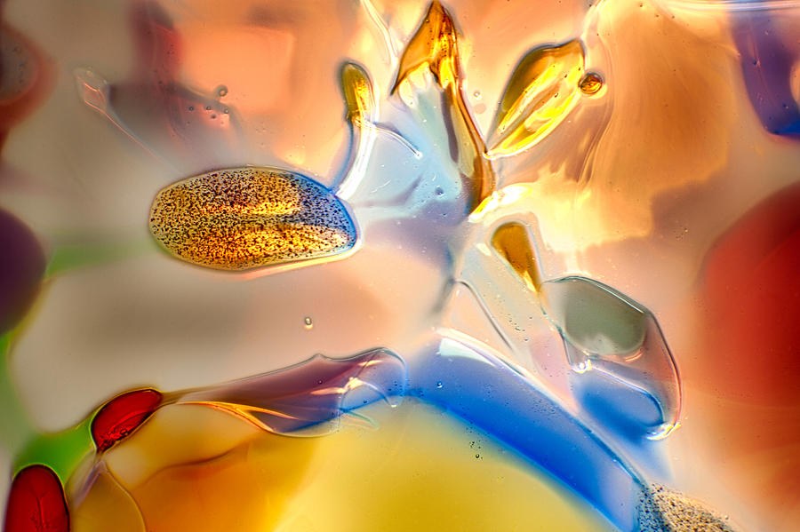 Bugs on Parade by Omaste Witkowski