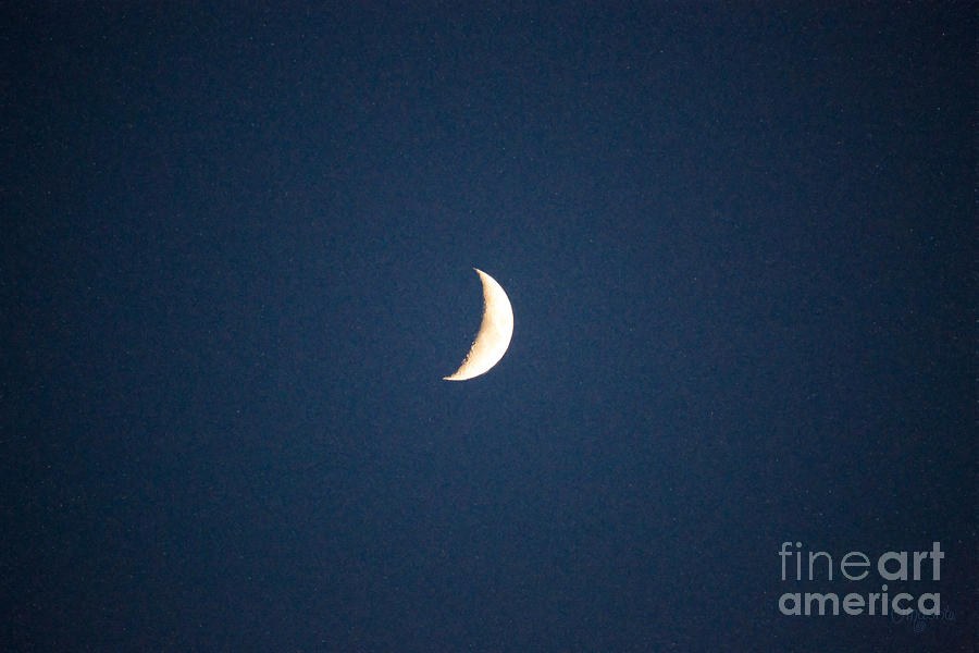 By The Light Of The Moon Methow Valley Abstract by Omashte by Omaste Witkowski