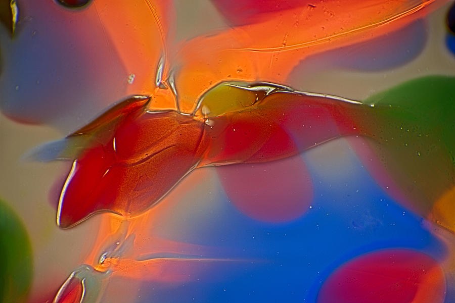 Cartoon Candy by Omaste Witkowski