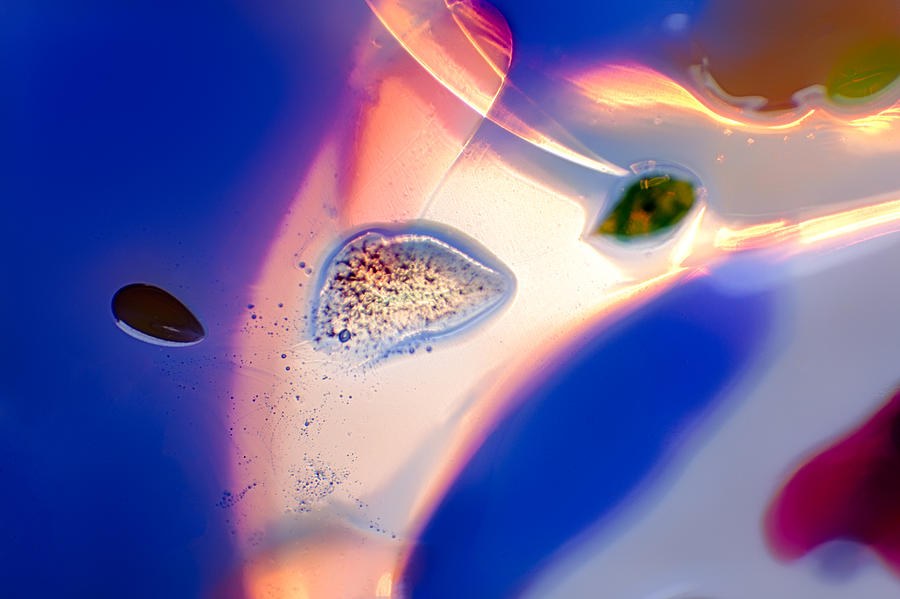 Color Freedom by Omaste Witkowski