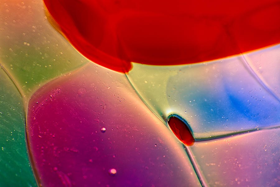 Color Jugs by Omaste Witkowski