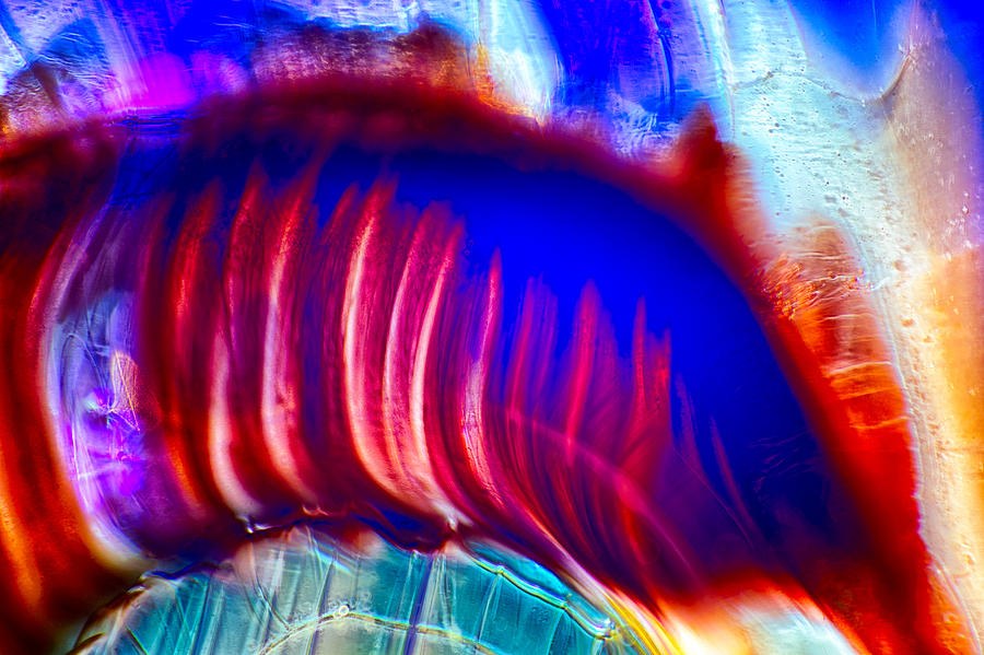 Colors Diving by Omaste Witkowski