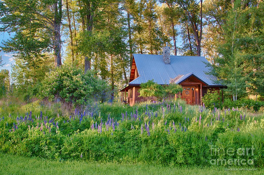 Cottonwood Cottage Spring 2014 Photographs taken by Omaste Witko by Omaste Witkowski