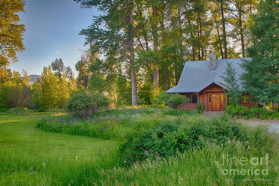 Glowing Door Cabin in a Wildflower Meadow by Omaste Witkowski