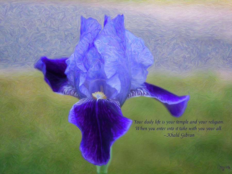 Daily Life - Motivational Nature Art by Omaste Witkowski by Omaste Witkowski