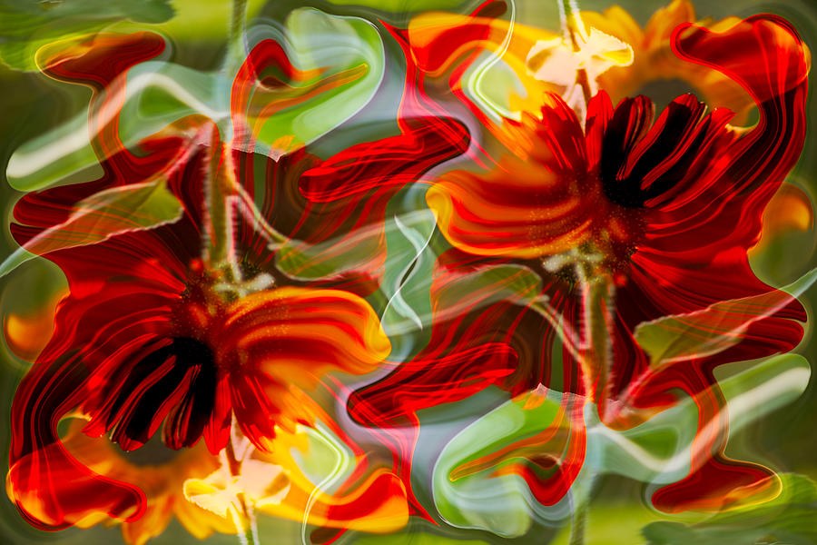 Ember Ripple, Red and Orange Flowers by Omaste Witkowski