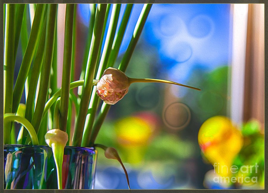 Lantern Bud, Pink Flower and Blue Glass Vase by Omaste Witkowski