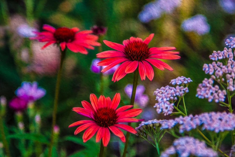 Ember Coneflowers and Lilac Blooms by Omaste Witkowski
