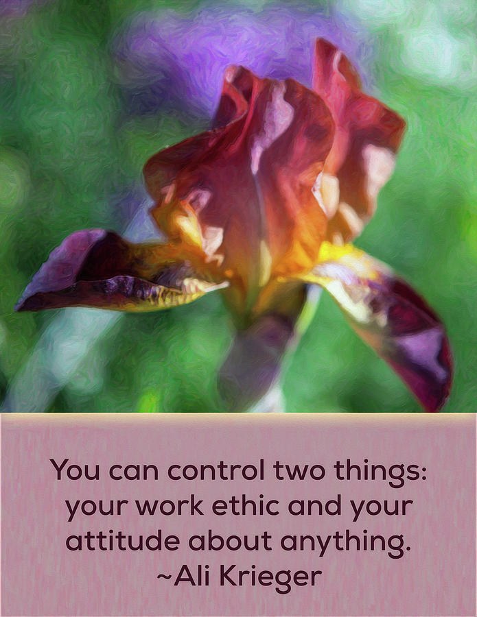 Ethics and Attitude - Nature Art by Omaste Witkowski by Omaste Witkowski