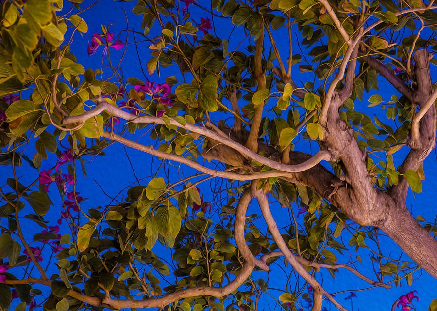 Evening Blues by Omaste Witkowski