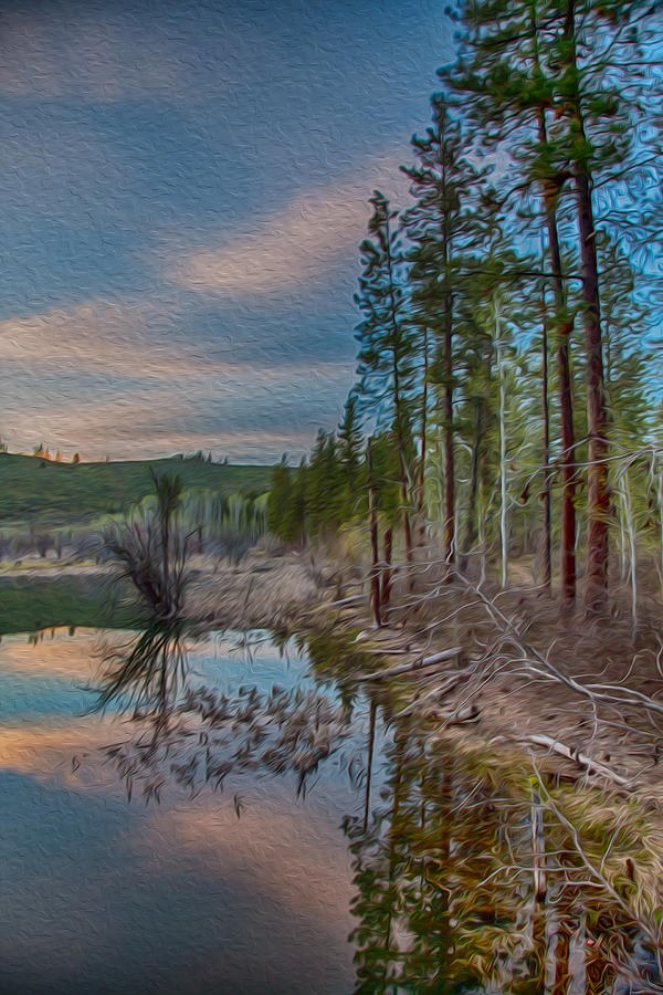 Evening on the Banks of a Beaver Pond by Omaste Witkowski