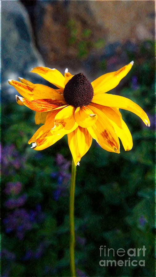 Fading Golden Beauty Garden Art by Omaste Witkowski by Omaste Witkowski