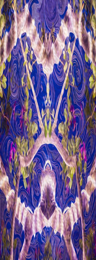 Fairies and Fantasies by Omaste Witkowski