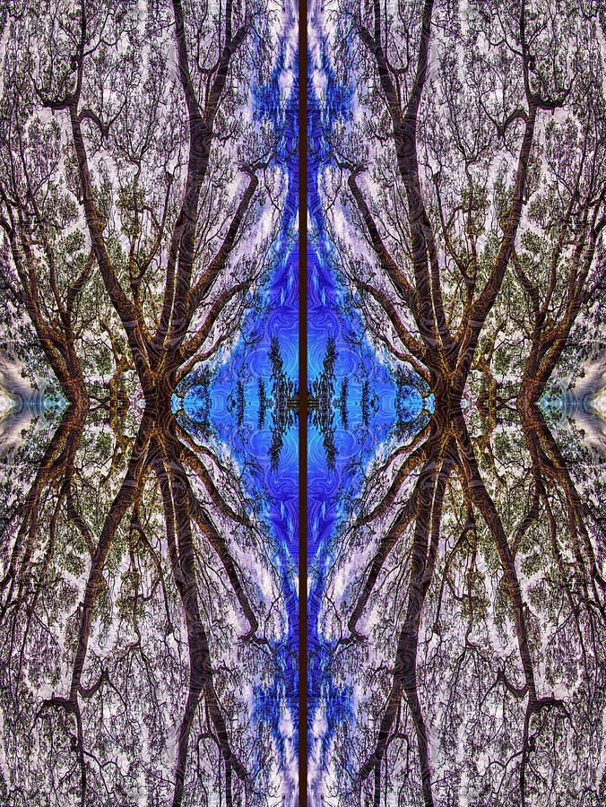 Blue Diamond Seam - Mirrored Bare Trees by Omaste Witkowski
