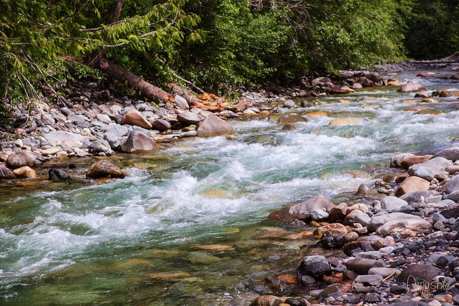 North Cascades Rushing River Landscape Photography by Omaste Witkowski