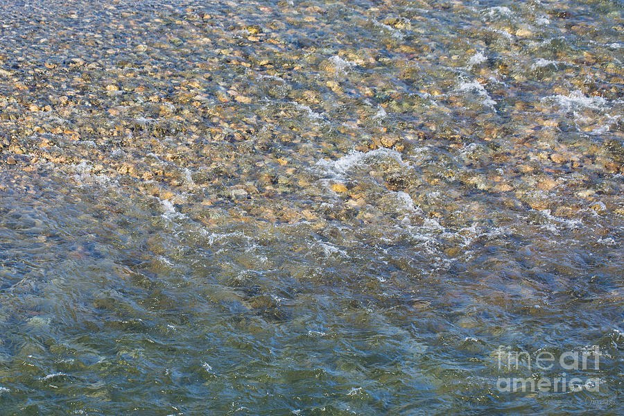 Gilded Shallows, Clear Water Over Pebbles by Omaste Witkowski