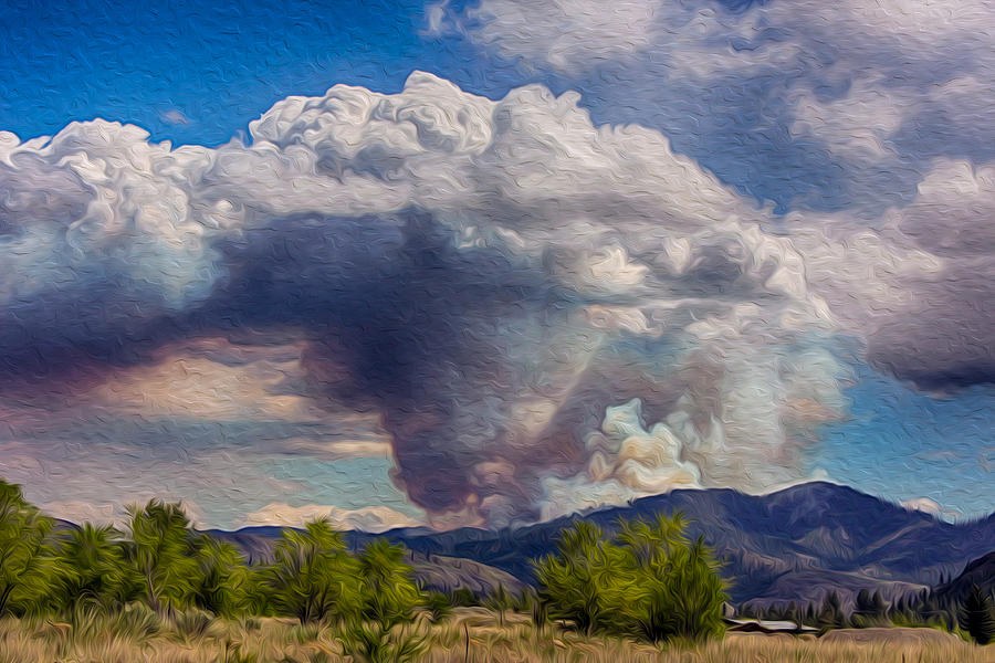 Forest Fire South of Twisp by Omaste Witkowski