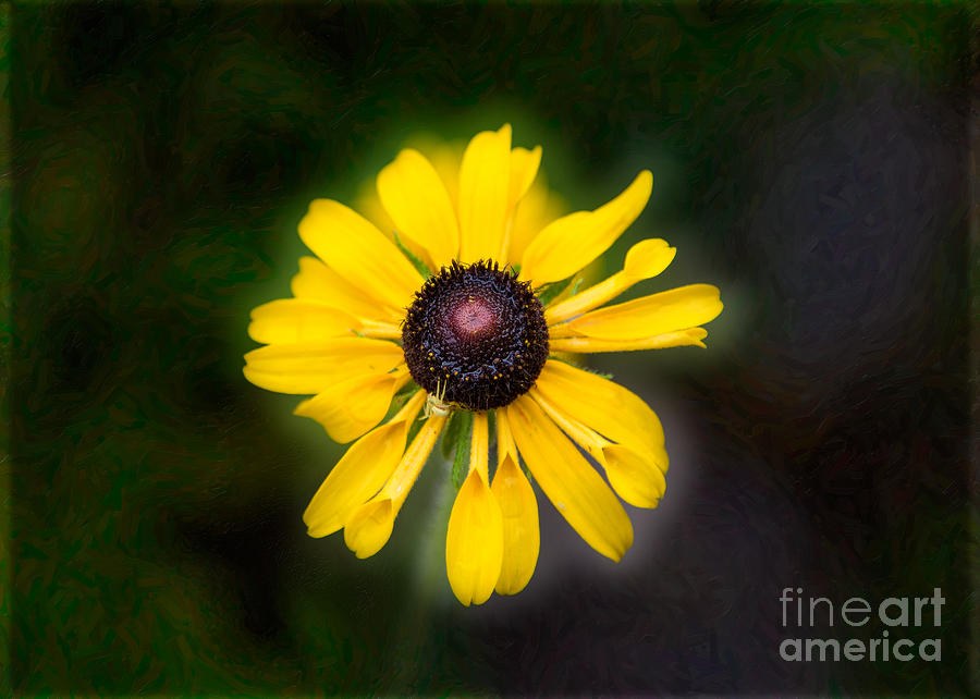 Friend With Benefits Yellow Flower Artwork by Omaste Witkowski by Omaste Witkowski
