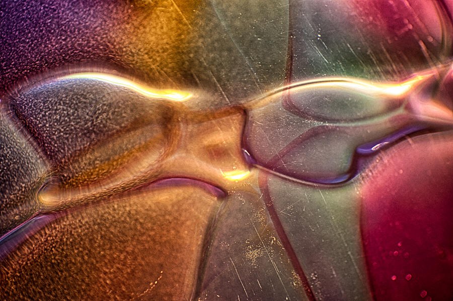 Funky Fish by Omaste Witkowski