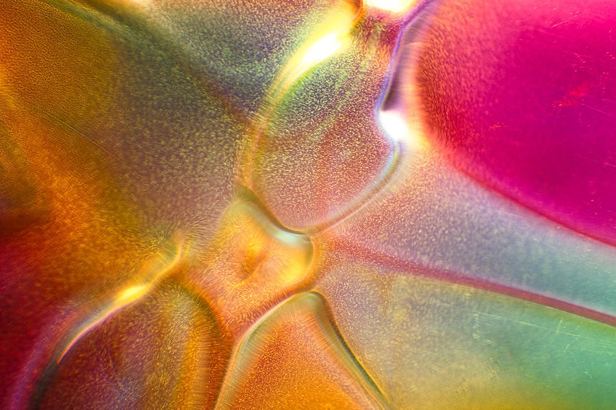 Glass Butterfly by Omaste Witkowski