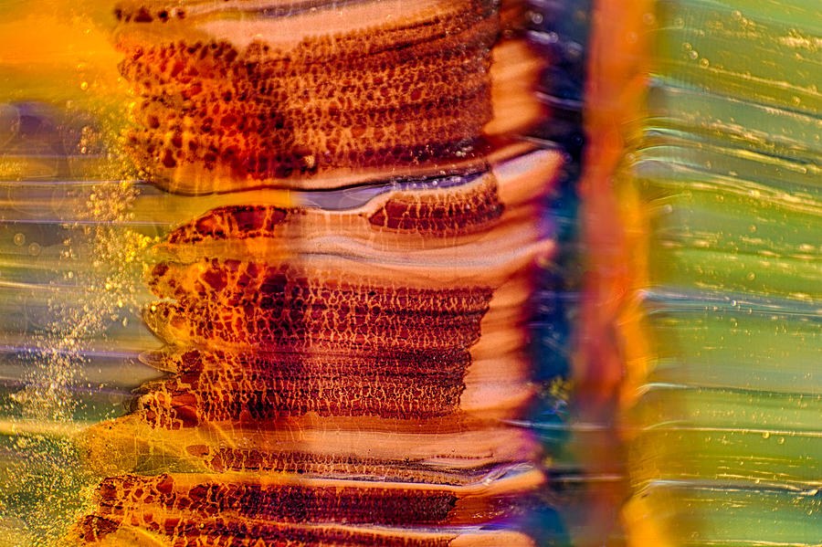 Ember Lace, Red Layers Beside Green by Omaste Witkowski