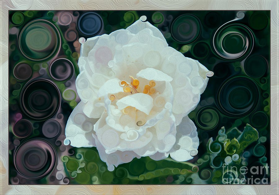 Glorious White Rose Abstract Flower Painting by Omaste Witkowski