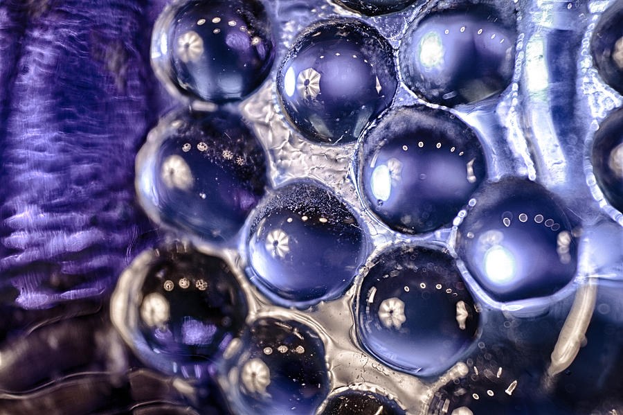 Grapes of Glass by Omaste Witkowski