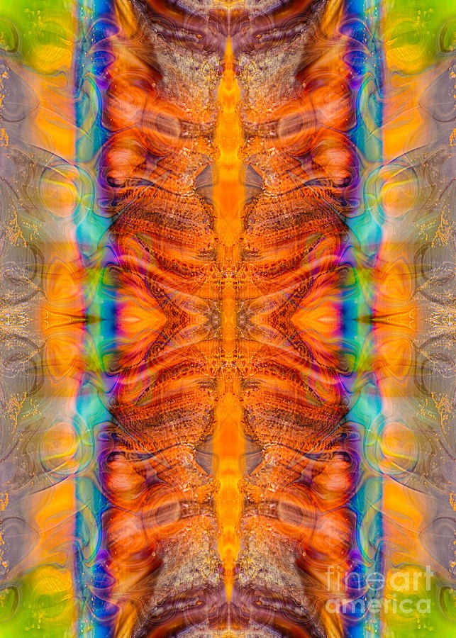 Great Spirit Side Panel Abstract Designs by Omaste WItkowski by Omaste Witkowski