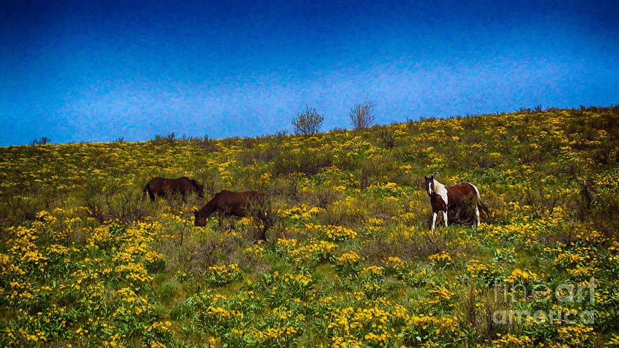Horses on a Hillside Landscape Art by Omaste Witkowski by Omaste Witkowski