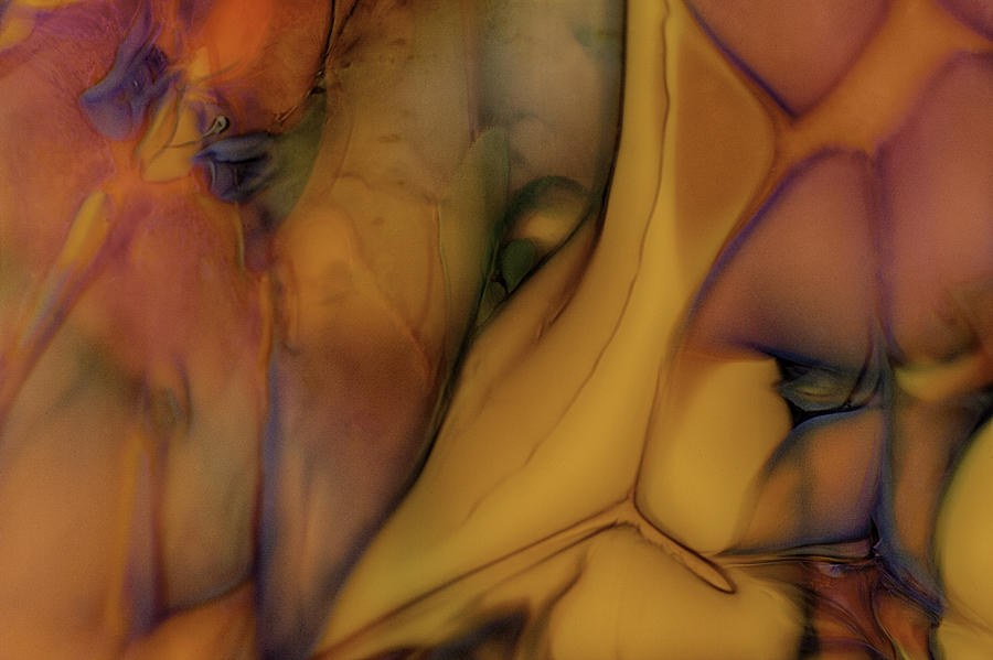 Lantern Gold, Violet Cell Abstract by Omaste Witkowski