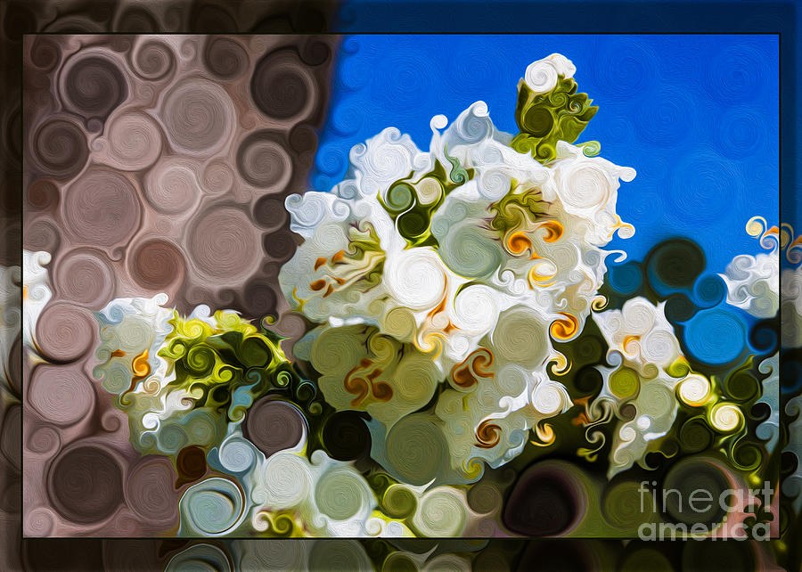 Jacobs Ladder Abstract Flower Painting by Omaste Witkowski