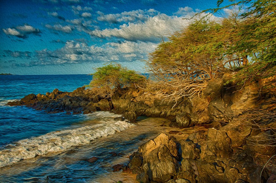 Gold Light Cove, Painterly Rocky Coast by Omaste Witkowski