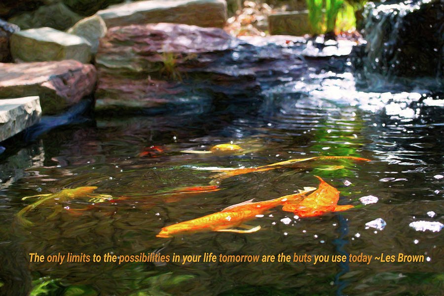 Koi Pond Fish - Limitless Possibilities - by Omaste Witkowski by Omaste Witkowski