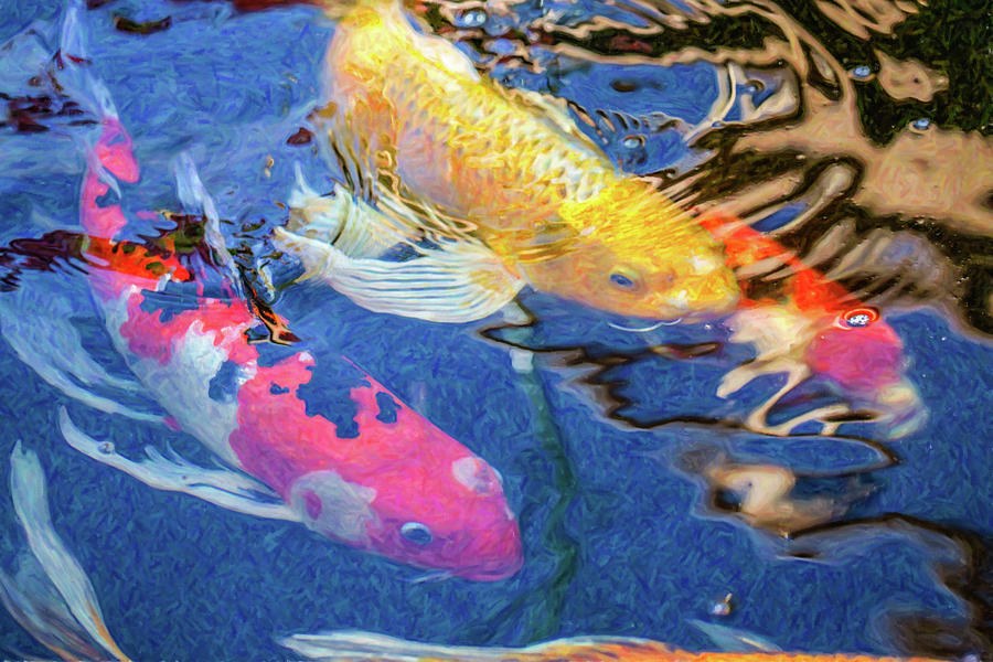 Koi Pond Fish - Making Plans - by Omaste Witkowski by Omaste Witkowski