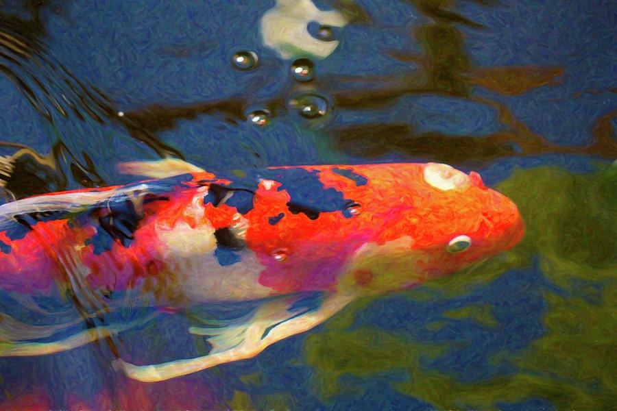 Koi Pond Fish - Painted Dreams - by Omaste Witkowski by Omaste Witkowski
