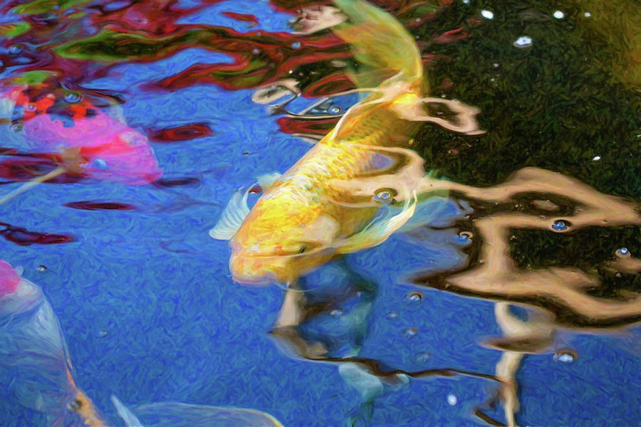 Koi Pond Fish - Playful Energies - by Omaste Witkowski by Omaste Witkowski